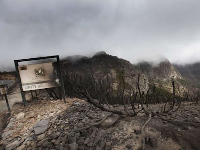 Desolador aspecto del Parque Nacional de Garajonay.
