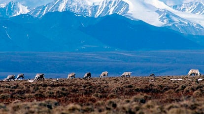 Una imagen del Parque Nacional del Ártico, en Alaska.