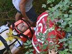 Deceuninck - Quick Step Belgium rider Remco Evenepoel is carry away by medical staff on a stretcher after crashed during the 114th edition of the giro di Lombardia (Tour of Lombardy),  a 231 km cycling race from Bergamo to Como on August 15, 2020. (Photo by Marco BERTORELLO / AFP)