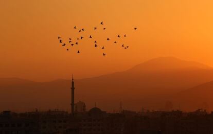 Un grupo de pájaros vuelan al atardecer sobre la ciudad rebelde de Arbin, a las afueras de Damasco, en Siria.