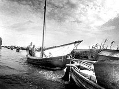 Una embarcación de vela latina durante una regata en L'Albufera.