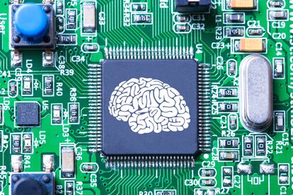 Neurocientíficos computacionales apuntan a que los cerebros evolucionaron como máquinas de predicción para optimizar su consumo de energía.