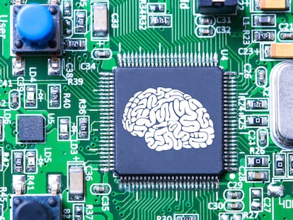 Neurocientíficos computacionales apuntan a que los cerebros evolucionaron como máquinas de predicción para optimizar su consumo de energía.