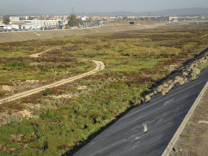 El nuevo cauce del Turia, al que ahora se le quiere dar un caudal ecológico.