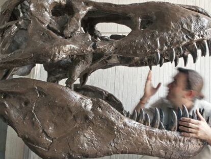 El Museo de los Dinosaurios, en Coll de Narg&oacute;, Lleida. 