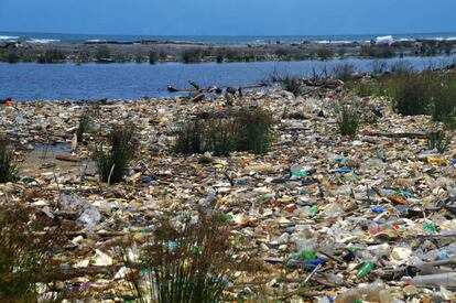 La basura arrastrada por el Río Motagua no solo se queda en Guatemala, sino que cruza la frontera hasta Honduras.