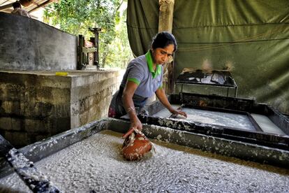 “Con la mezcla de papel reciclado y excrementos se consigue un papel más fino, ideal para las libretas y los cuadernos, que es el producto final más solicitado”, explica Wibatha Wijerathne, uno de los empleados de la fábrica desde 2004. En la imagen se ve cómo se distribuye la pasta mezclada en varios recipientes desde los que se va vertiendo la mezcla en mallas enmarcadas.