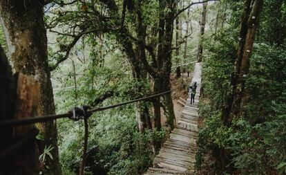 Uno de los puentes suspendidos del parque ecológico Pino Dulce, en Guatemala.