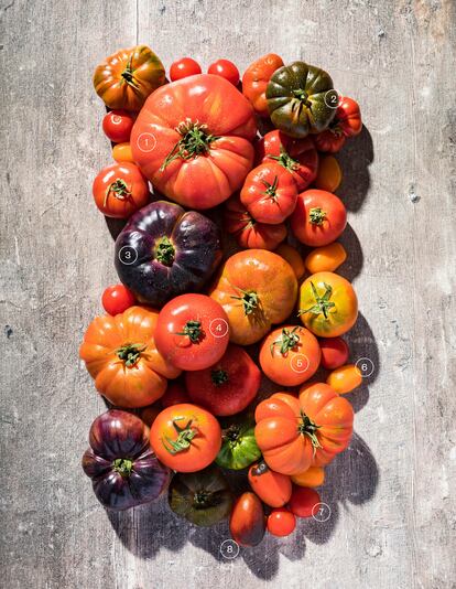 Surtido de tomates proporcionados por el Colmado del tomate: 1. Tomate Barbastro. 2. Raf Ambrosía. 3. Mar azul. 4. Amela, semilla japonesa. 5. Rambo. 6. Cherry amarillo. 7. Cherry rojo. 8. Cherry azul oceánico.