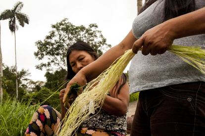 Elena tiñe hilos de chambira mientras Mencay machaca y prepara más pigmento. Para la elaboración de artesanías las mujeres deben realizar varios procedimientos. Después de haber sido recolectada, deshojada y secada, hay que teñir la chambira. Para lograr varios colores de chambira las mujeres utilizan pigmentos naturales. Para ello toman varias hojas y las machacan con piedras para después pintar los hilos de chambira. 