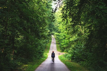 Una ciclista en el bosque de Eawy, en Normandía (Francia).