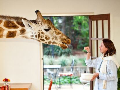 Cosas muy raras que te puedes encontrar en un hotel