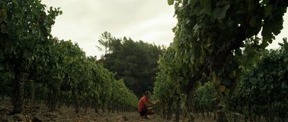 En esta comarca privilegiada, en la que se mezclan los climas atlántico, oceánico y mediterráneo, hay más de 40 bodegas. Y cada vez echan raíces en ella más grupos viticultores foráneos.