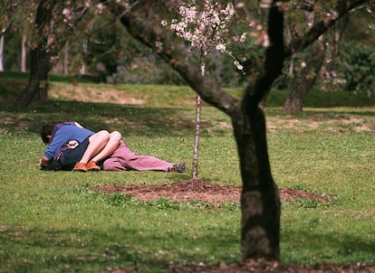 Una pareja, en un parque de Madrid.