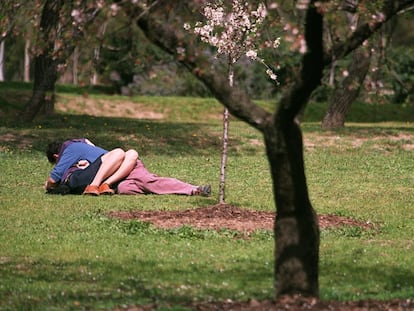 Una pareja, en un parque de Madrid.