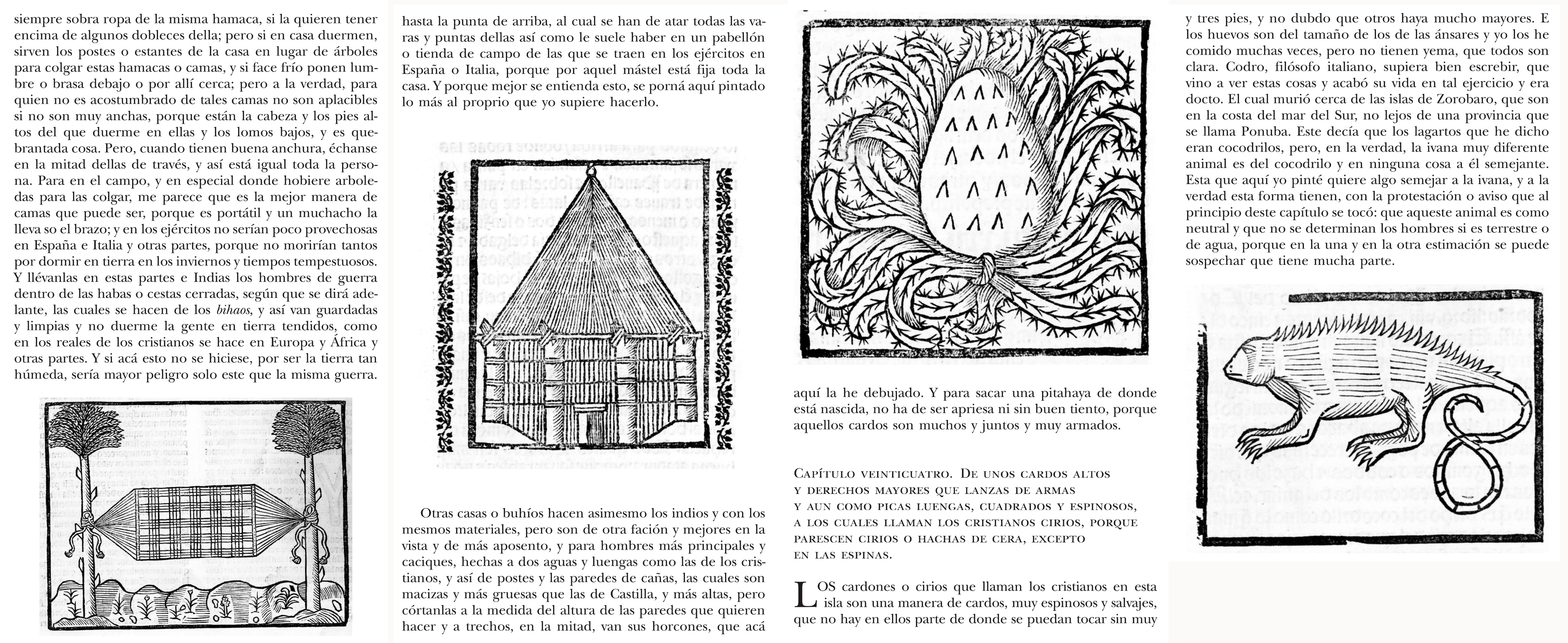 Historia de un códice expoliado hace un siglo y cómo fue a parar a un magnate de EE UU