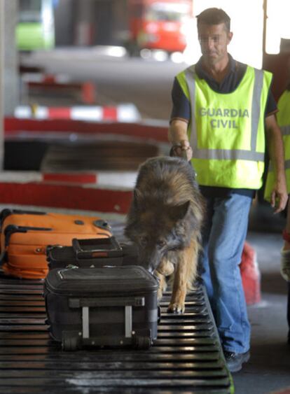 Un guardia civil inspecciona la maleta de un pasajero. A la derecha, un perro policía busca droga en los equipajes.