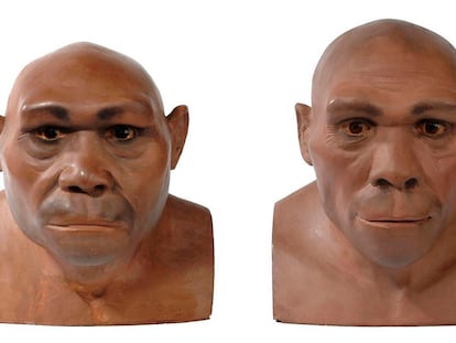 Homo erectus y denisovanos
