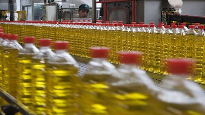 Botellas de aceite, en una empresa sevillana.