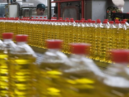 Botellas de aceite, en una empresa sevillana.