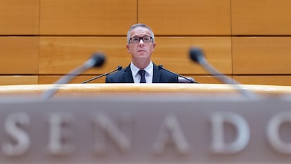 Ander Gil, durante una sesión plenaria en el Senado, en diciembre de 2022.