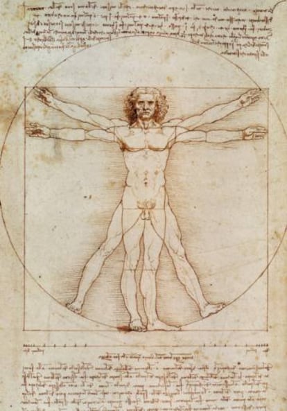 &#039;La divina proporci&oacute;n&#039; (conocido tambi&eacute;n como el &#039;Hombre de Vitruvio&#039;), de Leonardo da Vinci.