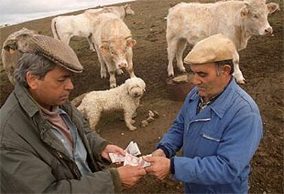 Néstor Ferrero y Fernando Jiménez escenifican la compraventa de una vaca por 540 euros en Urraca-Miguel (Ávila).