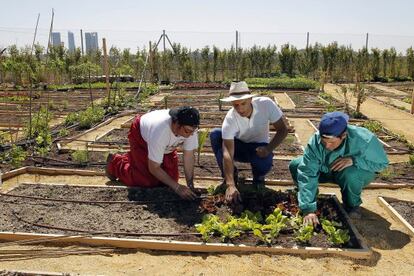 Algunos de los 80 huertos urbanos de ocio en alquiler es el proyecto La Huerta de Montecarmelo en Mirasierra (Madrid). En la imagen Pablo Prieto, perito agrícola, y dos empleados de la Fundación Carmen Pardo-Valcarce trabajando en uno de los huertos.