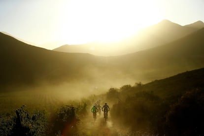El pelotón avanza por un camino durante la segunda etapa de 110 kilómetros de la prueba sudafricana de bicicletas todoterreno (BTT) ABSA Cape Epic, considerada una de las más duras del mundo y conocida como "el Tour de Francia de las BTT", en Ciudad del Cabo (Sudáfrica).