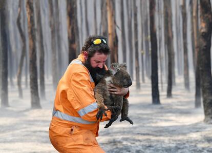 Simon Adamczyk, con un koala rescatado en un boque en llamas cerca del cabo Borda en la isla Canguro (Australia).