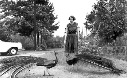 Flannery O’Connor, en el exterior de su casa, la granja Andalusia en Milledgeville (Georgia) en 1962.