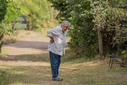 José 'pepe' Mujica en su chacra de Uruguay, el 23 de enero de 2023.