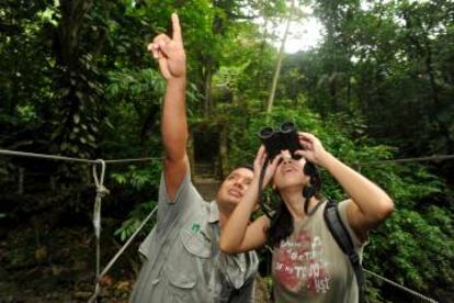Observación de aves en el selvático Valle de Antón, en las tierras altas de Panamá.