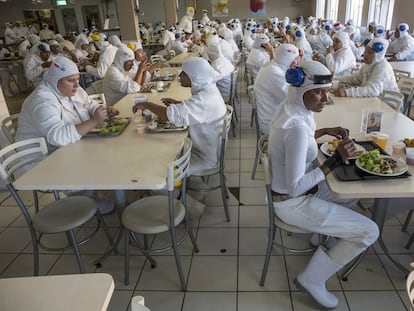 El matadero de pollos JBS, cerca de Cidrolandia (Brasil), cuenta con turnos en los que trabajan 650 personas.