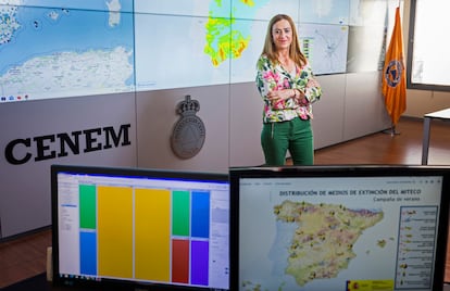 Virginia Barcones, directora general de Protección Civil y Emergencias, este martes, en el Centro Nacional de Seguimiento y Coordinación de Emergencias (CENEM), en Madrid.