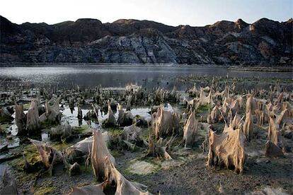 Aspecto del fondo del pantano de Cuevas de Almanzora en el levante almeriense.