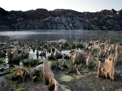 Aspecto del fondo del pantano de Cuevas de Almanzora en el levante almeriense.