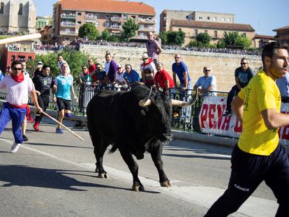 Varias personas durante la celebración del Toro de la Vega en 2018, en Tordesillas.
