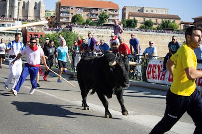 Celebracion Toro de la Vega