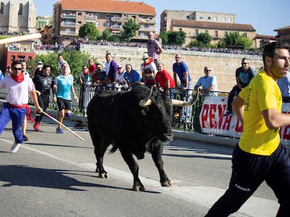 Celebración del Toro de la Vega de Tordesillas del año 2018.