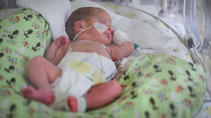 Un bebé prematuro en la sala de neointensivos y prematuros del Hospital Medizinische Universität Lausitz-Carl Thiem en Cottbus, Alemania.