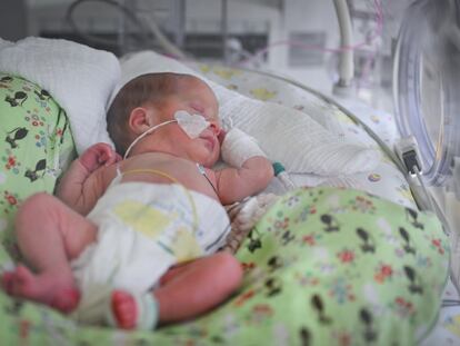 Un bebé prematuro en la sala de neointensivos y prematuros del Hospital Medizinische Universität Lausitz-Carl Thiem en Cottbus, Alemania.