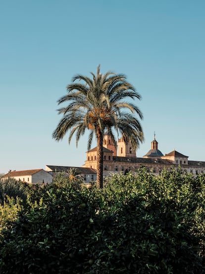 La huerta bien conservada en la pedanía de Guadalupe y, al fondo, la iglesia y el monasterio de San Pedro, conocido como los Jerónimos (siglo XVIII).