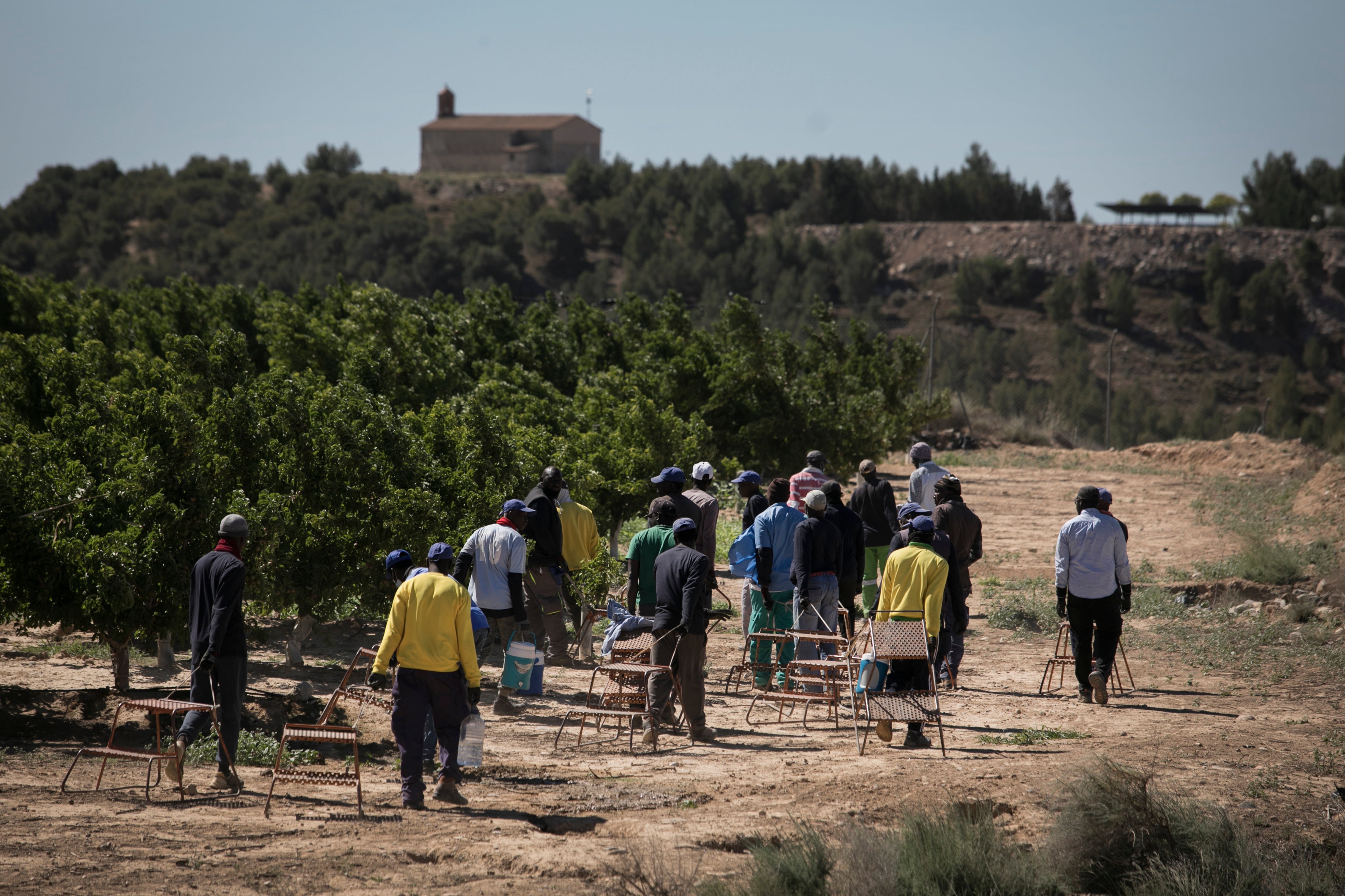 Trabajadores de origen centroafricano en una finca de la empresa Torre Molins, en Huesca, recogiendo nectarinas.