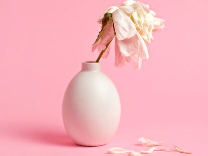 «Tu móvil sigue activo, llámame cuando quieras para vernos»: la emotiva esquela viral de la pareja de «Pilarita»