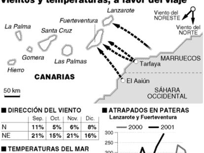 GRÁFICO