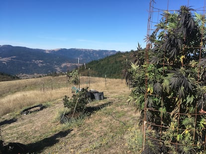 Exterior de una granja en Garberville, en 2019.