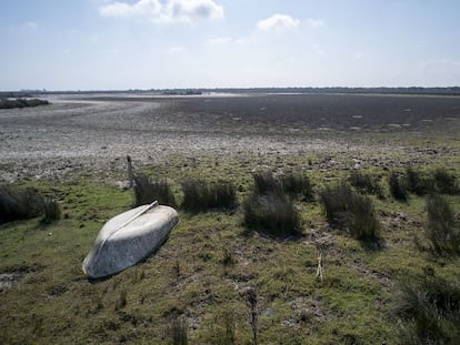 Doñana