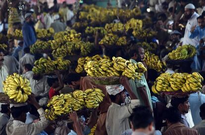 Trabajadores paquistaníes llevan cestas de plátanos en un mercado de frutas en Lahore, Pakistán.