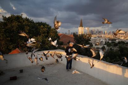 Una mujer en su azotea de Tel Aviv alimenta a un grupo de pájaros al atardecer, como hace cada día.